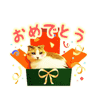 三毛猫ふうちゃん 心なごむ日常会話（個別スタンプ：20）