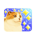 三毛猫ふうちゃん 心なごむ日常会話（個別スタンプ：28）