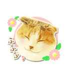 三毛猫ふうちゃん 心なごむ日常会話（個別スタンプ：30）