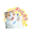 三毛猫ふうちゃん 心なごむ日常会話（個別スタンプ：33）