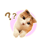 三毛猫ふうちゃん 心なごむ日常会話（個別スタンプ：36）