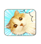 三毛猫ふうちゃん 心なごむ日常会話（個別スタンプ：37）
