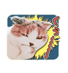 三毛猫ふうちゃん 心なごむ日常会話（個別スタンプ：38）
