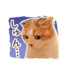 三毛猫ふうちゃん 心なごむ日常会話（個別スタンプ：39）