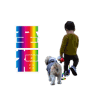 シーズー犬・ポコ 2（個別スタンプ：7）