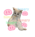 happy_20200607000812（個別スタンプ：11）