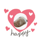 happy_20200607000812（個別スタンプ：19）