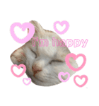 happy_20200607000812（個別スタンプ：22）