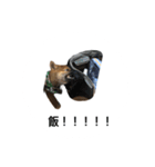 我が名はポン太！！！！（個別スタンプ：2）