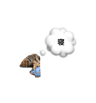 我が名はポン太！！！！（個別スタンプ：3）