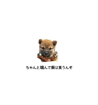 我が名はポン太！！！！（個別スタンプ：4）