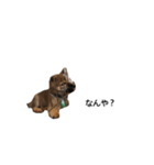 我が名はポン太！！！！（個別スタンプ：5）