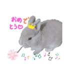 ネザーランド よく使う（個別スタンプ：6）