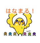 セキセイインコきんちゃんのフラ教室（個別スタンプ：13）