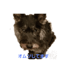 kappiとo-chan#2（個別スタンプ：5）