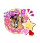ラナくん3（個別スタンプ：3）