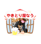 ラナくん3（個別スタンプ：12）