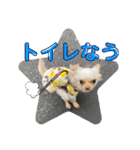 ラナくん3（個別スタンプ：13）