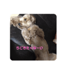 ココアのココアによるスタンプ（個別スタンプ：8）