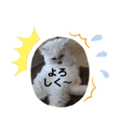 チェリナナの日常（個別スタンプ：7）