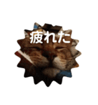 チェリナナの日常（個別スタンプ：9）