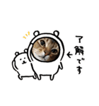 チェリナナの日常（個別スタンプ：14）