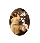チェリナナの日常（個別スタンプ：16）