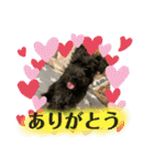 中村家のぴの（個別スタンプ：8）