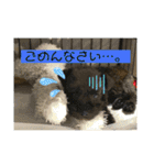 中村家のぴの（個別スタンプ：9）