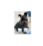 中村家のぴの（個別スタンプ：16）