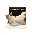 まとむ・其の弐（個別スタンプ：8）