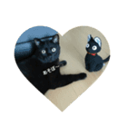 くろねこのタンゴ（個別スタンプ：4）