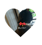 くろねこのタンゴ（個別スタンプ：10）