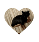 くろねこのタンゴ（個別スタンプ：14）