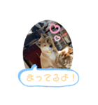 まるだよ。丸じゃないよ。（個別スタンプ：5）