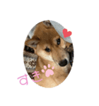 まるだよ。丸じゃないよ。（個別スタンプ：8）