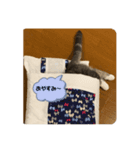 おしゃべりネコさん（個別スタンプ：5）