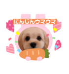 かわいいマロンちゃん、第一弾（個別スタンプ：2）