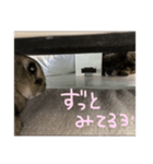 マフィンくんのスタンプ（個別スタンプ：8）