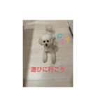 ランちゃんの一日（個別スタンプ：4）
