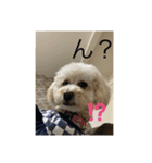 ランちゃんの一日（個別スタンプ：5）