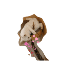 catstaop（個別スタンプ：5）