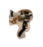 catstaop（個別スタンプ：6）
