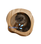 catstaop（個別スタンプ：11）