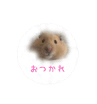 ラブ モグ ザワールド（個別スタンプ：1）