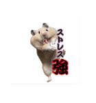 ラブ モグ ザワールド（個別スタンプ：3）