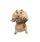 ラブ モグ ザワールド（個別スタンプ：10）