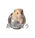 ラブ モグ ザワールド（個別スタンプ：12）