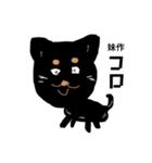 コロは毎日元気だ〜〜〜！（個別スタンプ：39）