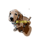 犬Dachshund（個別スタンプ：6）